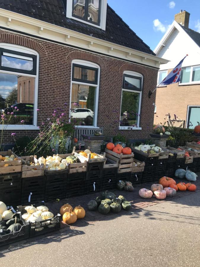 Bungalow Kleine Deichperle, Strand Und Deich In Unmittelbarer Naehe! Lemmer Exterior photo